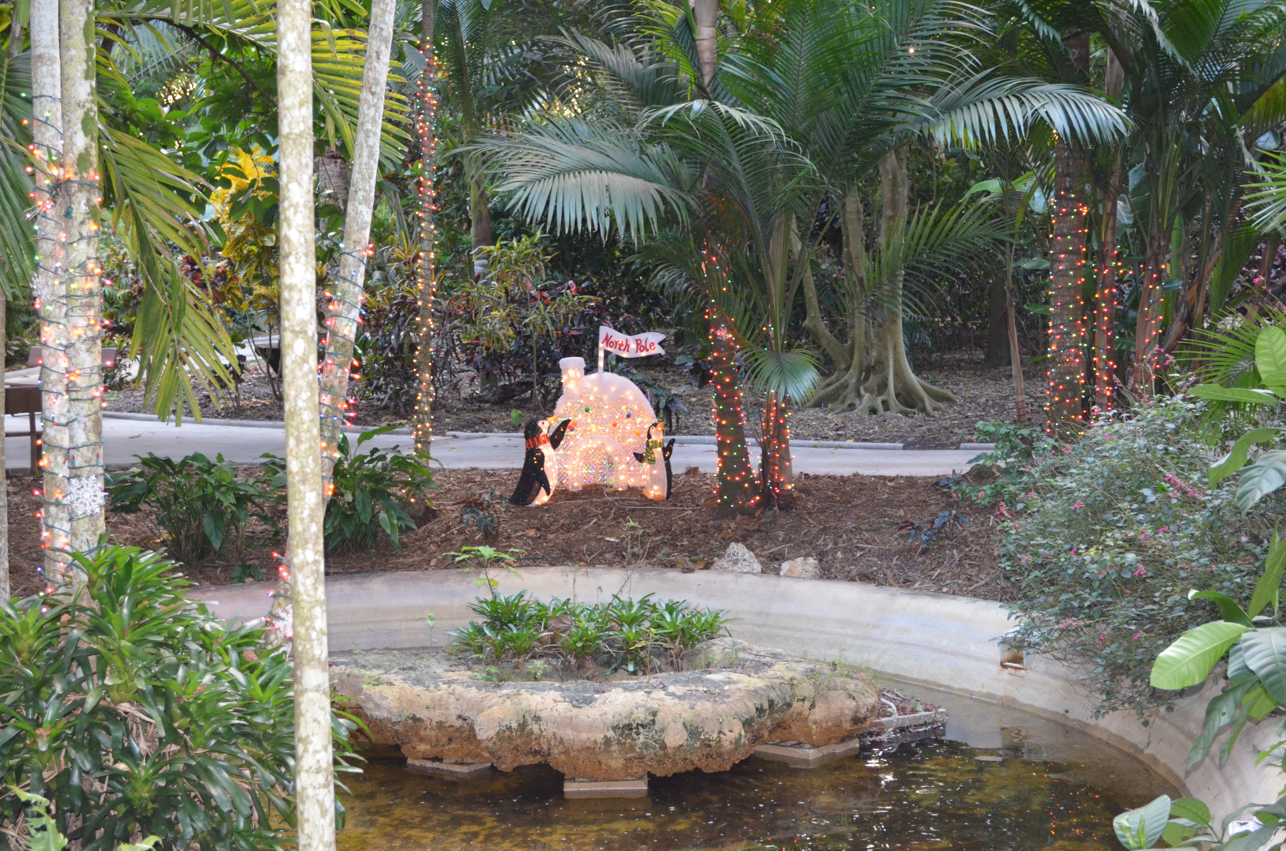 ./2014/Flamingo Gardens/DSC_8140.JPG